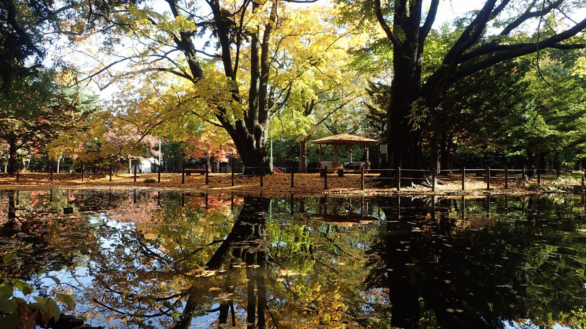 円山公園エリア｜札幌賃貸・売買物件
