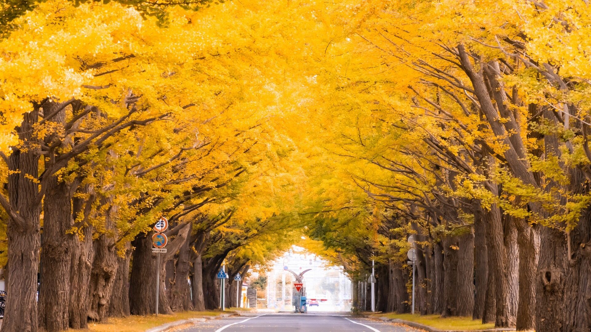 北区・北２４条エリア｜札幌賃貸・売買物件